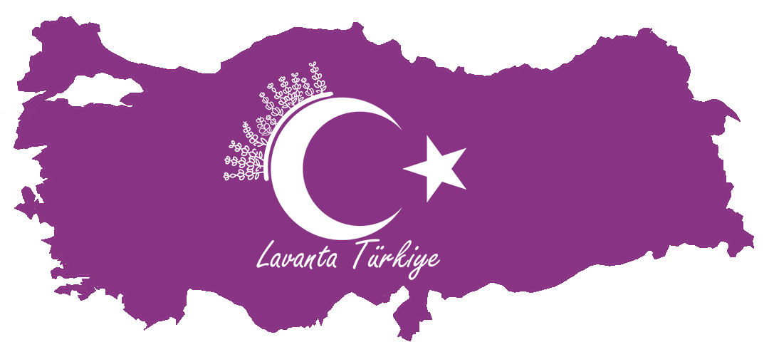 Lavanta Türkiye